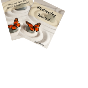 Stressed Out? Ebook + Journal